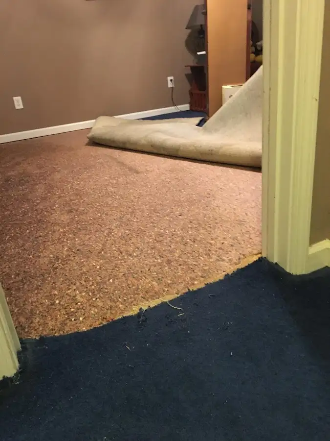 Carpet pad removal revealing water damage during Water Mitigation Services in Fernandina Beach