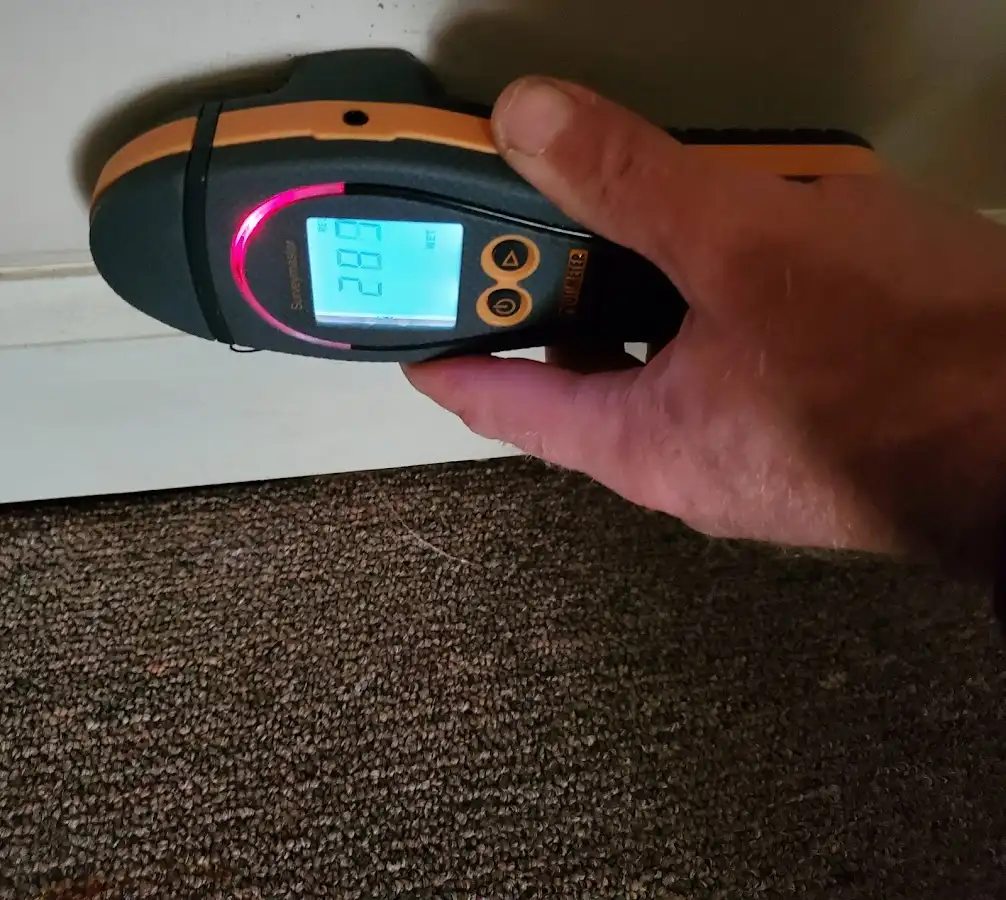 Moisture detection at baseboard during Burst Pipe Cleanup in Fernandina Beach